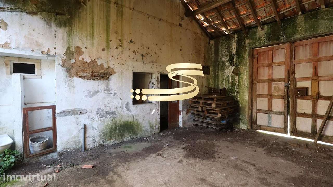 Moradia para Restauro com 4 Frações. Excelente Oportunidade em Anta - Grande imagem: 5/11