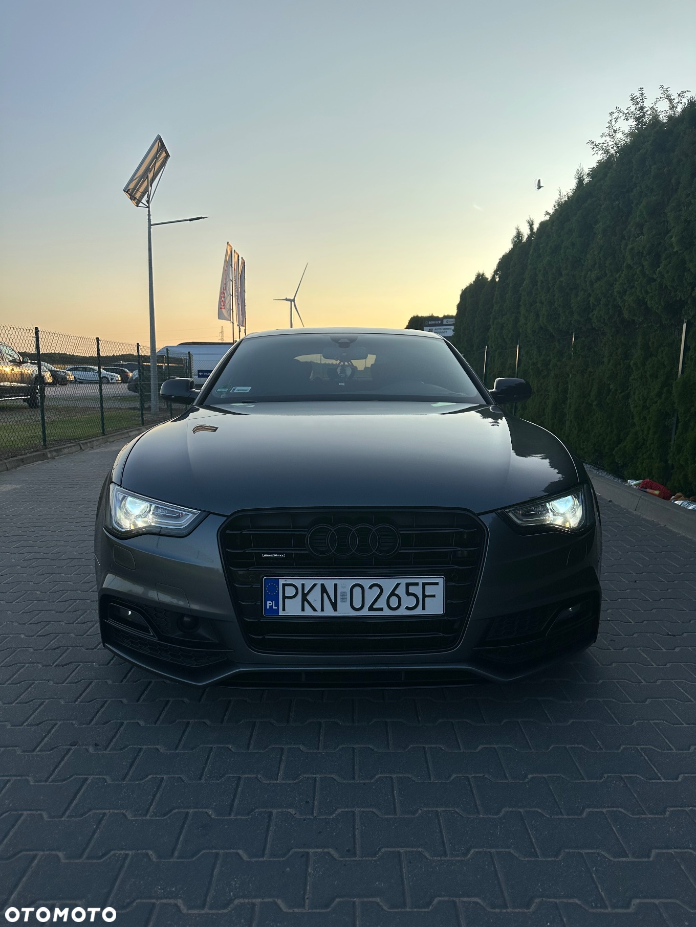 Audi A5 2.0 TDI Sportback (clean diesel) quat DPF S tro - 4