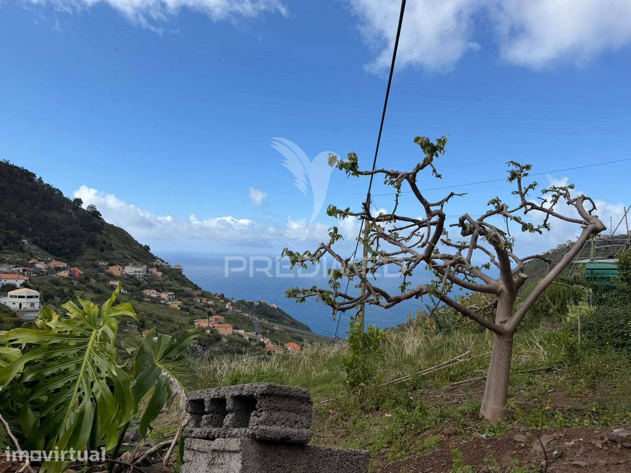 Casa térrea para recuperar com terreno agrícola - Grande imagem: 3/10