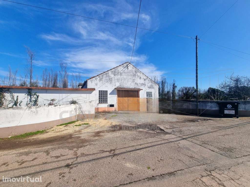 Armazém com terreno em Albergaria-a-Velha - Grande imagem: 3/4