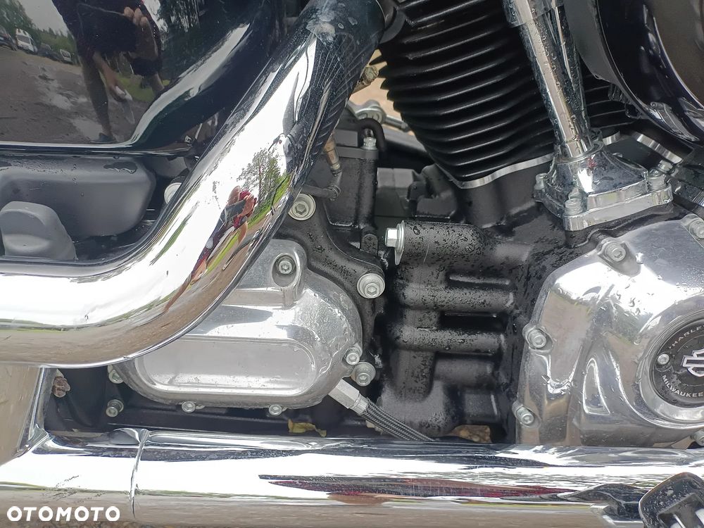 Harley-Davidson Softail Standard - 18