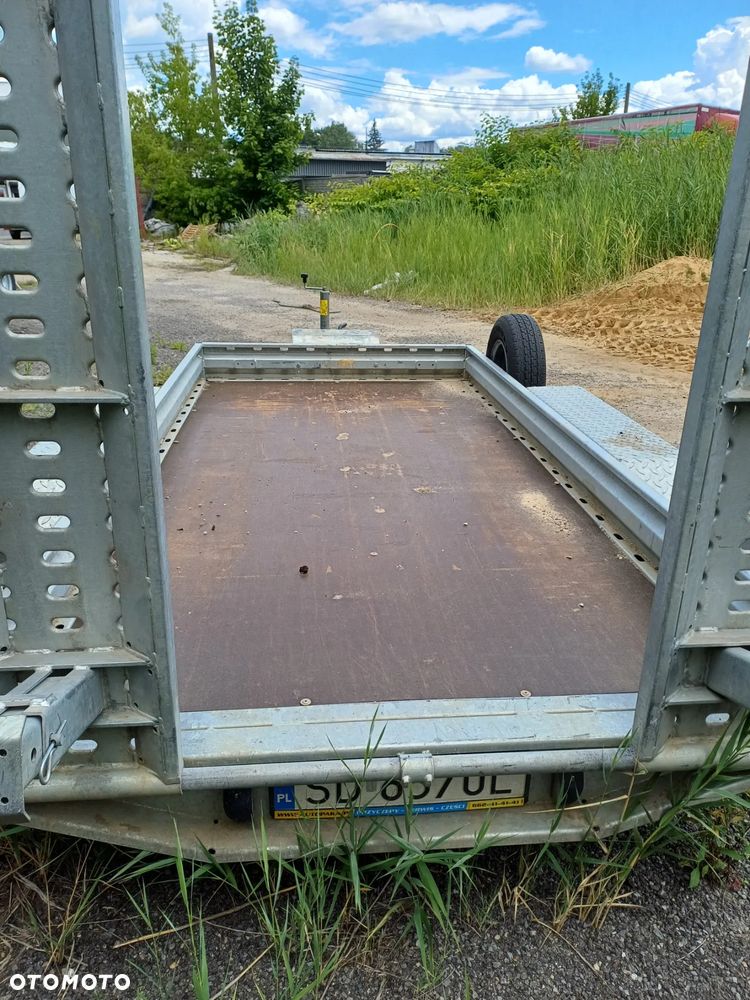 Wark - 6