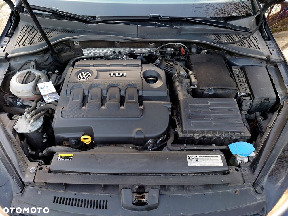 Volkswagen Golf - 31