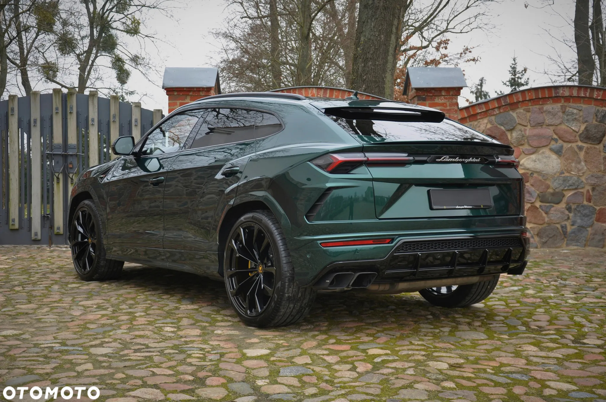 Lamborghini Urus Standard