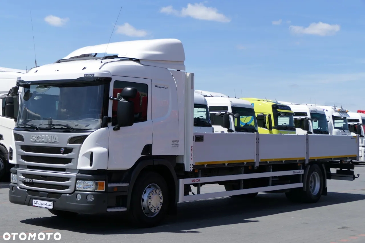 Scania P 250 / BURTOWA / SKRZYNIOWY - długość: 8,10 m / 2016 ROK / EURO 6 / - 2