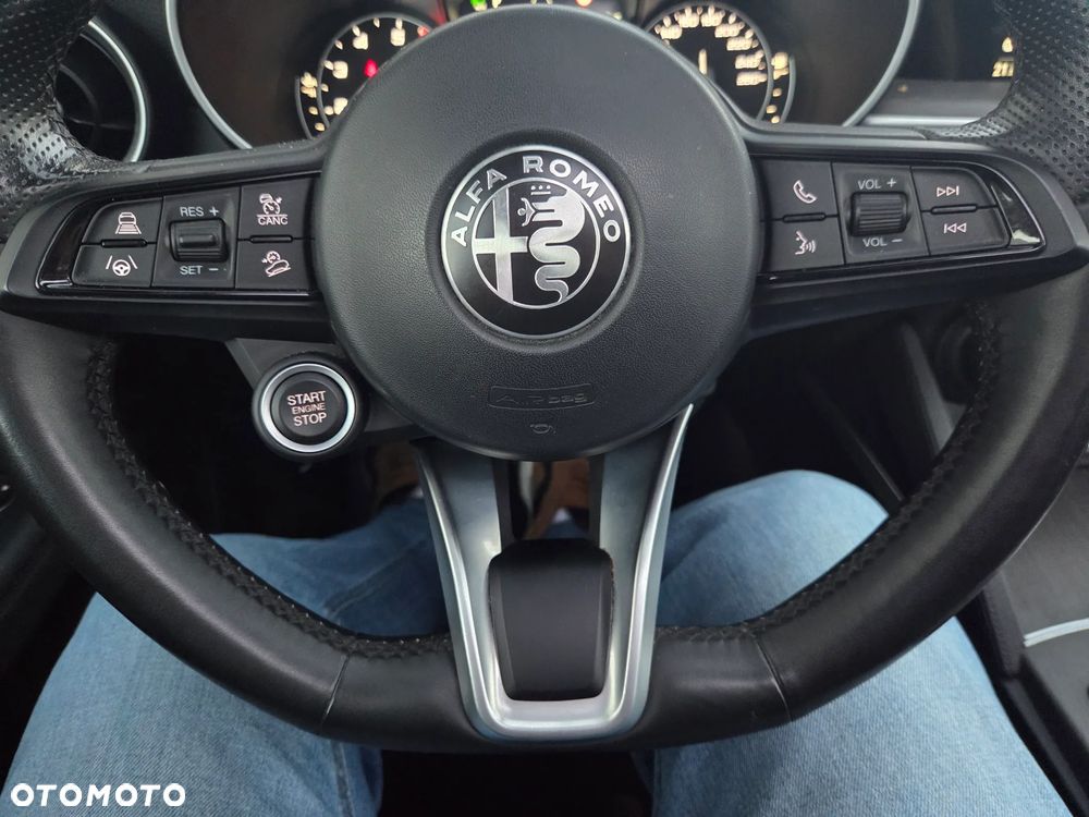 Alfa Romeo Stelvio 2.0 Turbo TI Q4 - 16