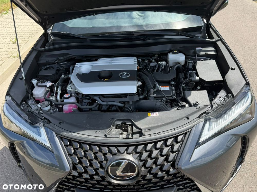 Lexus UX 250h - 25