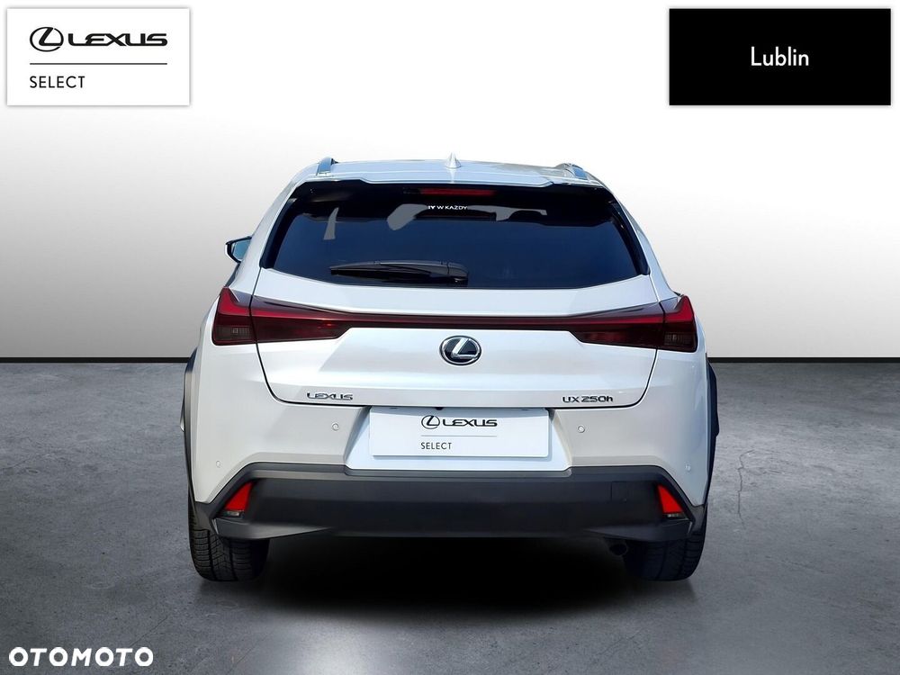 Lexus UX 250h GPF Business 2WD - 4
