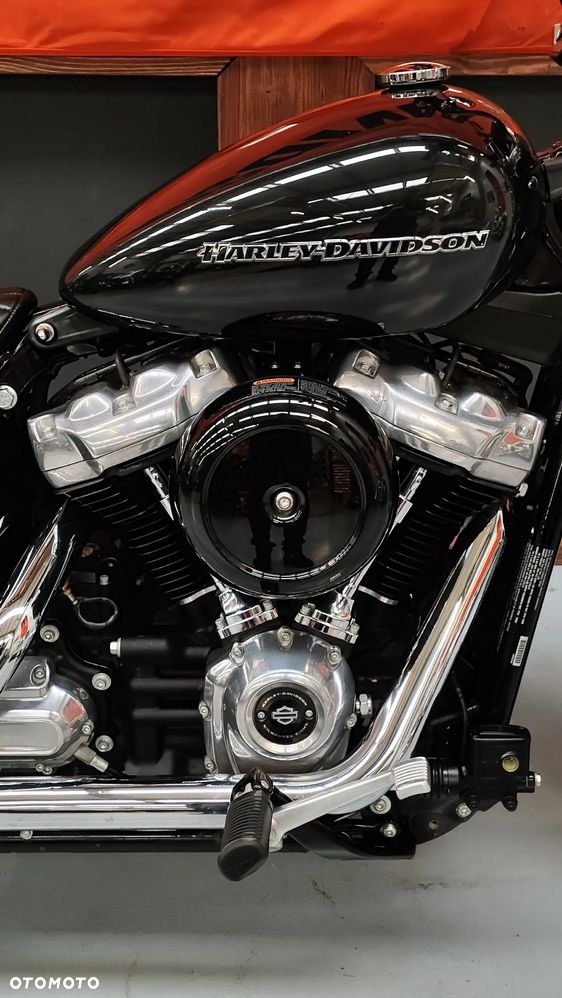 Harley-Davidson Softail Standard - 13