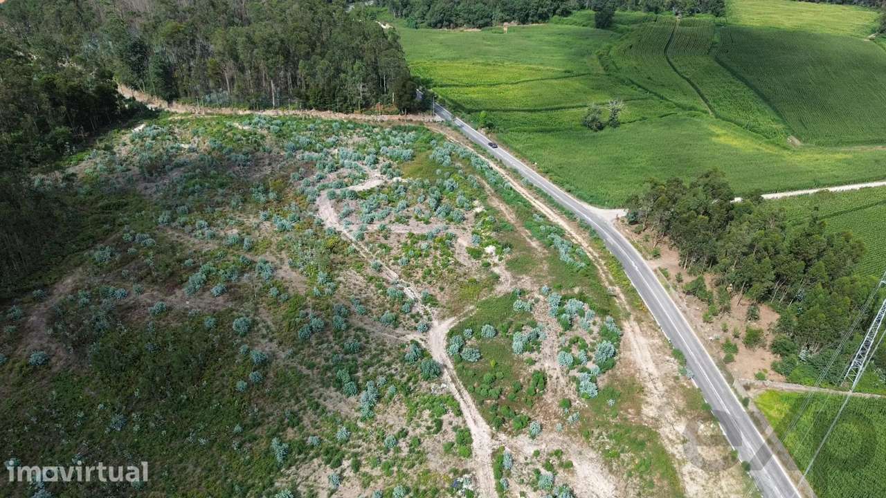 Terreno Urbanizável em Vila do Conde | Uma Oportunidade Única para Inv - Grande imagem: 2/5