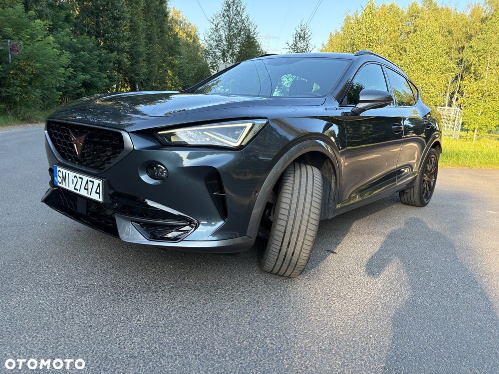 Cupra Formentor 2.0 TSI 4Drive DSG - 13