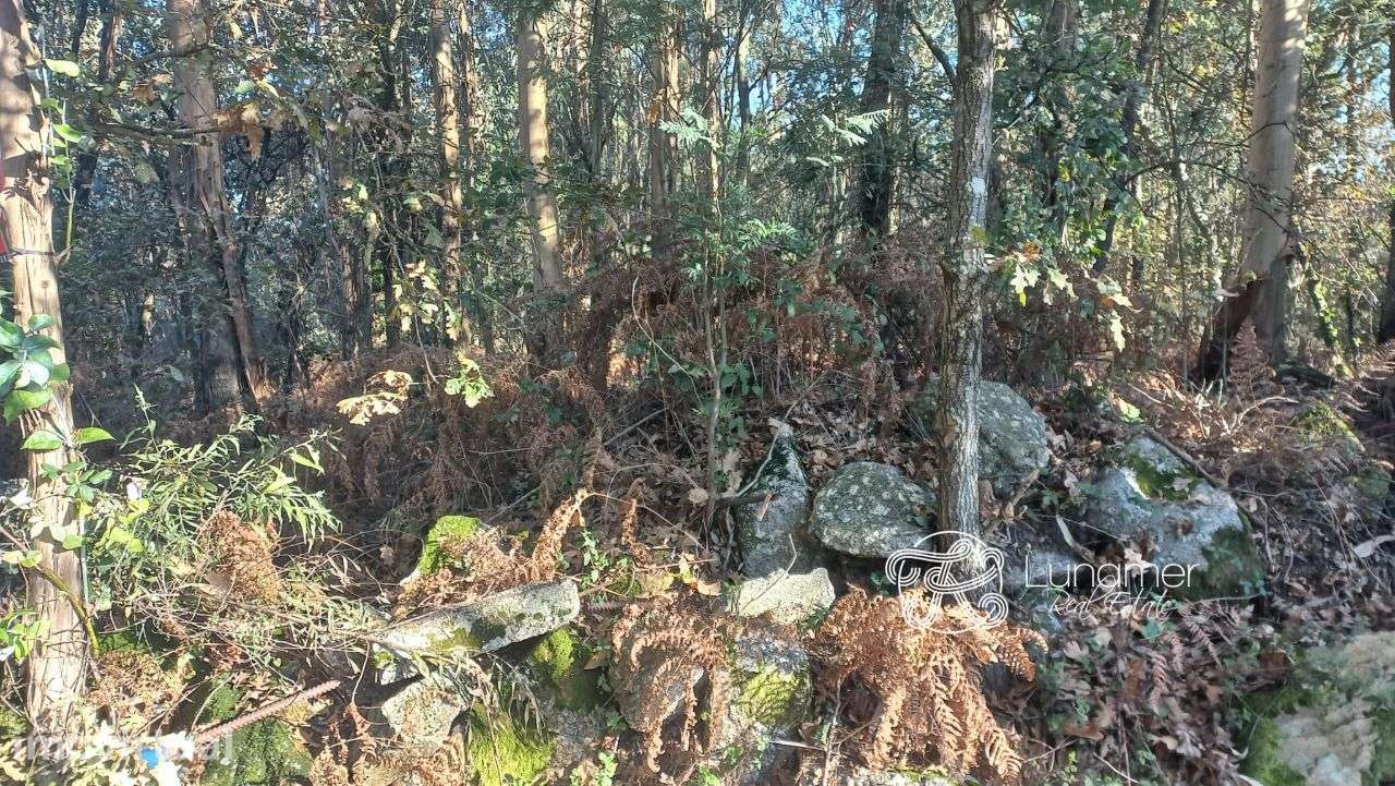 Terreno na zona industrial de Palmeira, Santo Tirso - Grande imagem: 2/6