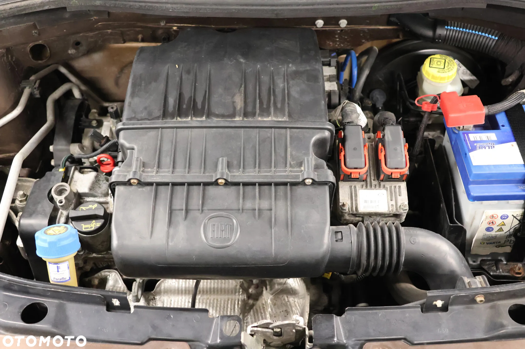 Fiat 500 1.2 8V by Gucci - 15