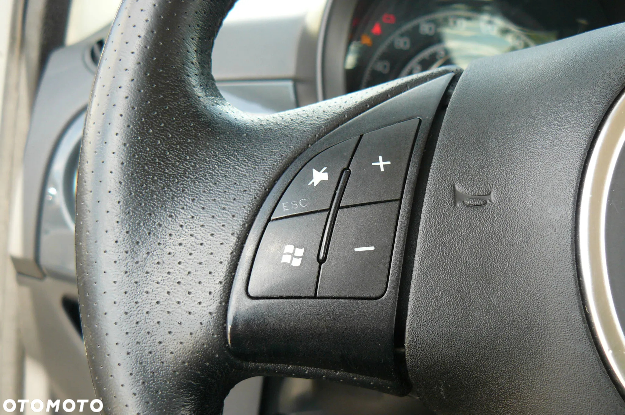 Fiat 500 - 25