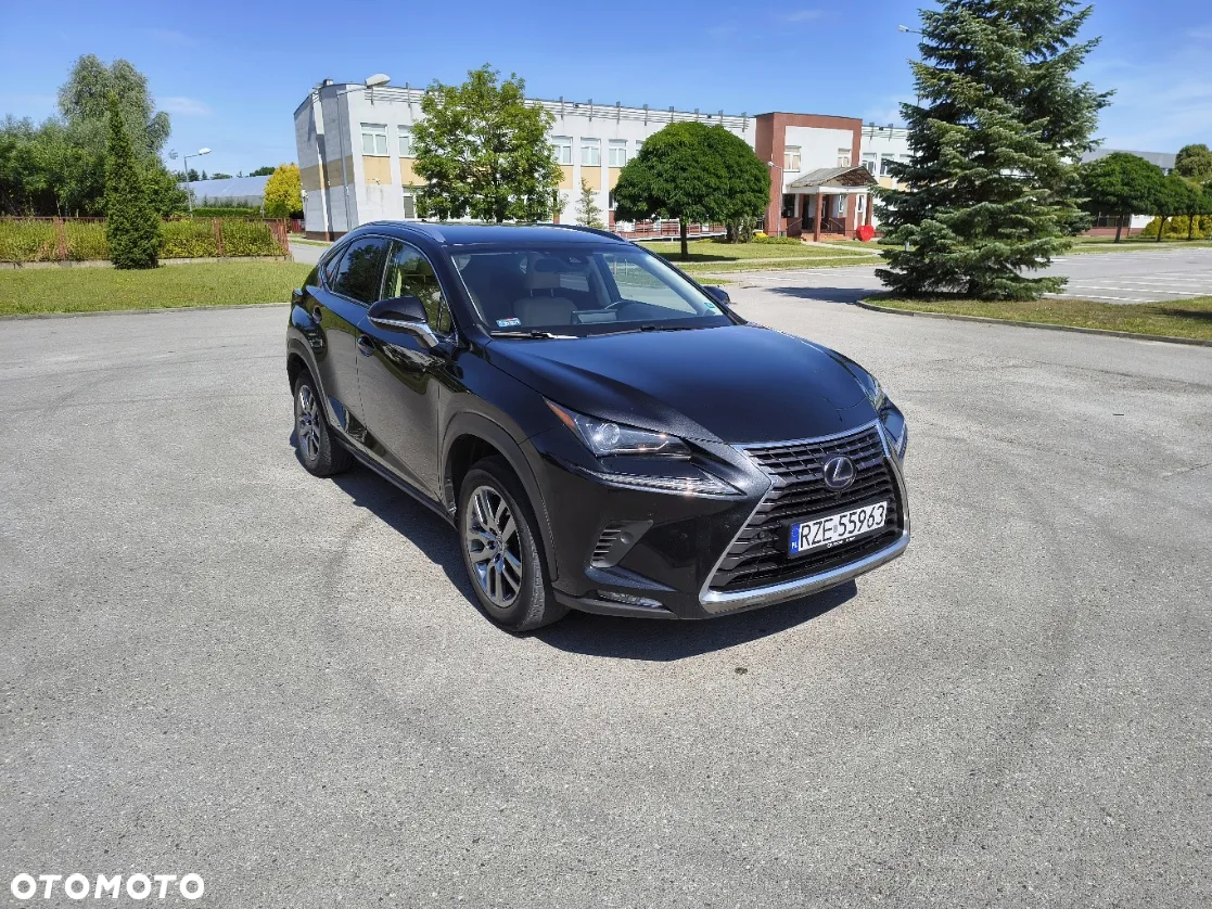 Lexus NX - 4