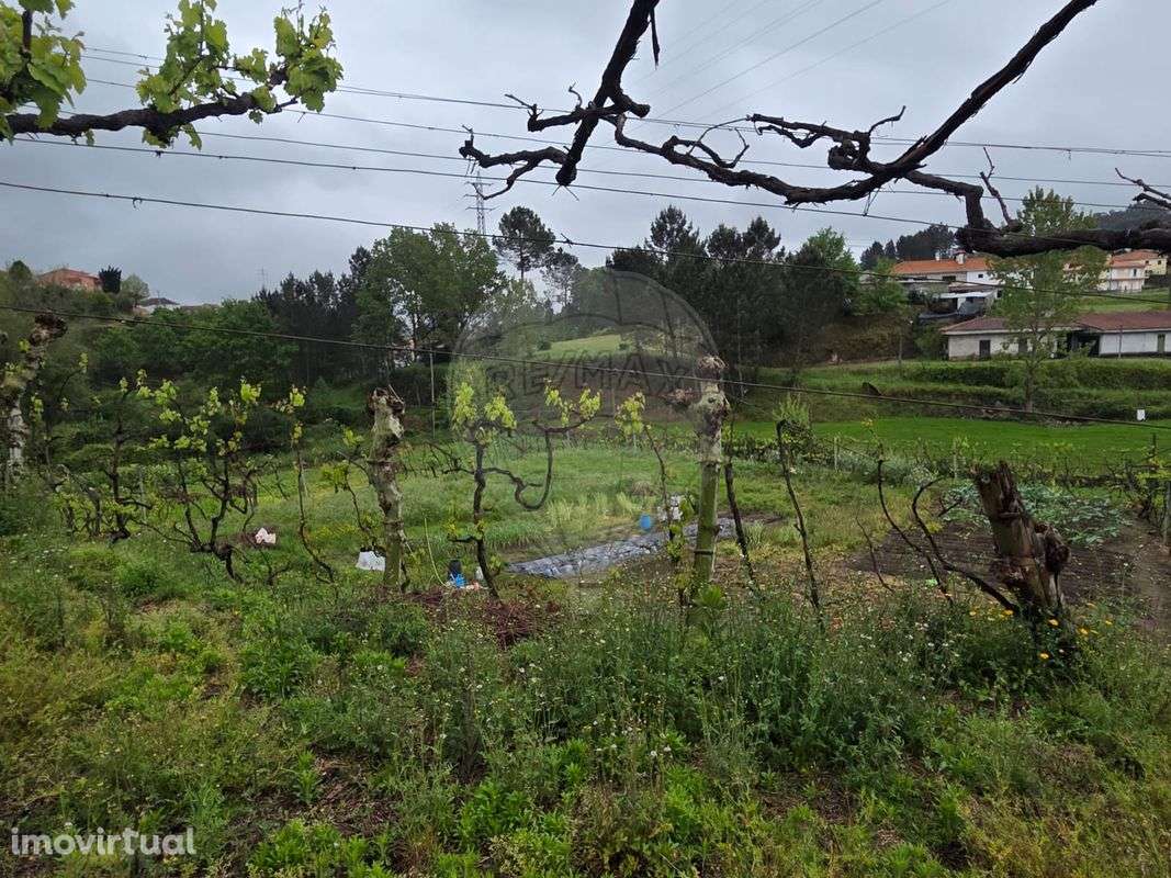 Moradia T1 para venda - Grande imagem: 3/6