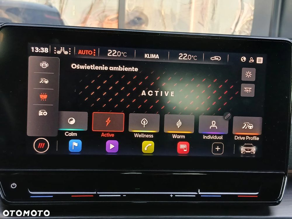 Cupra Formentor - 29