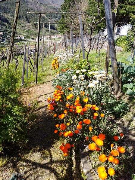 Casa   para  venda . - Grande imagem: 2/6