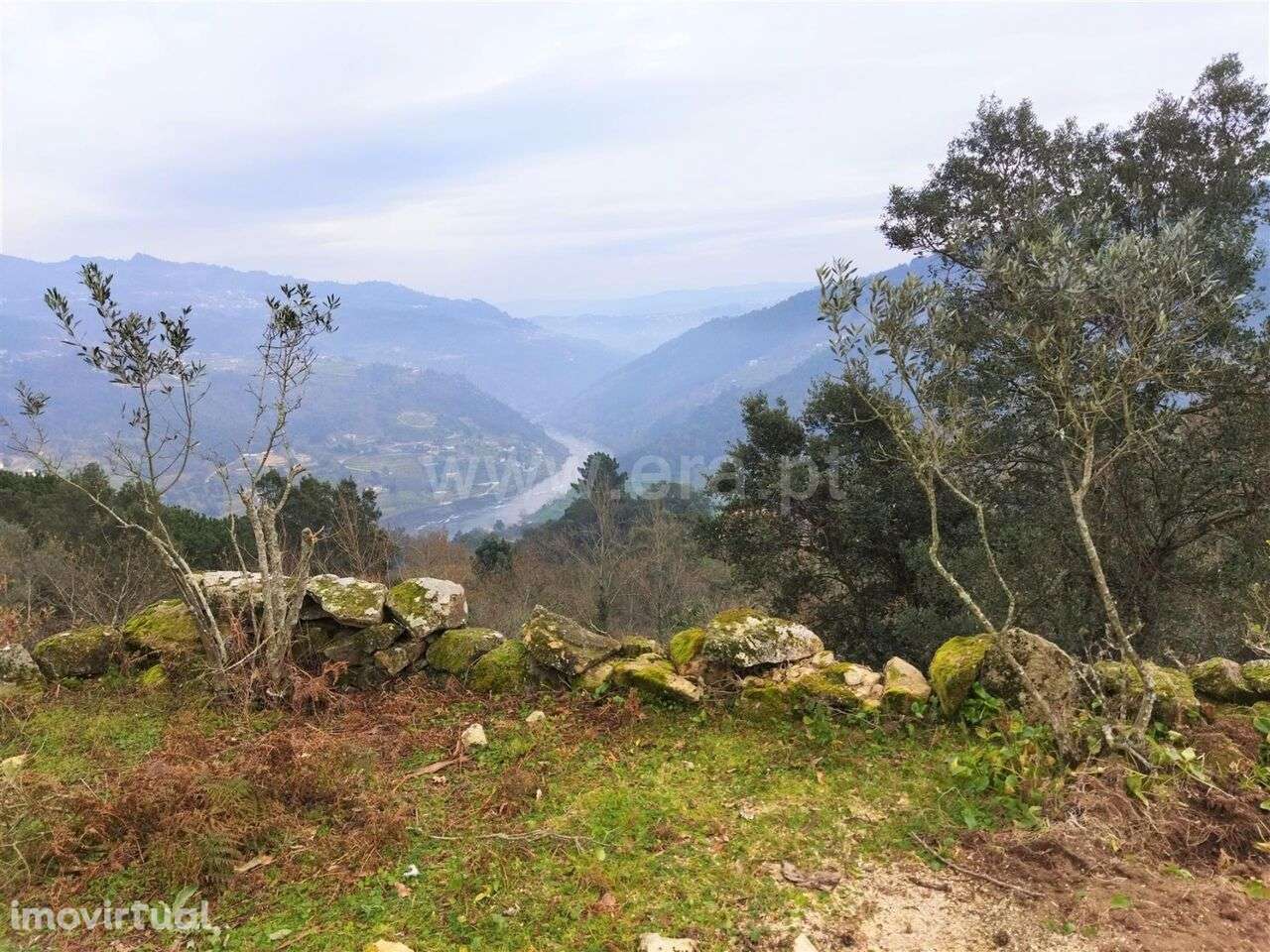 Terreno / Cinfães, Espadanedo - Grande imagem: 5/8