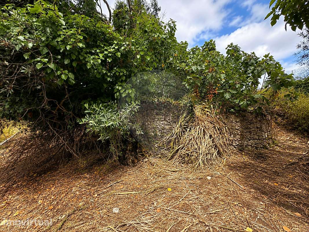Terreno  para venda - Grande imagem: 4/12