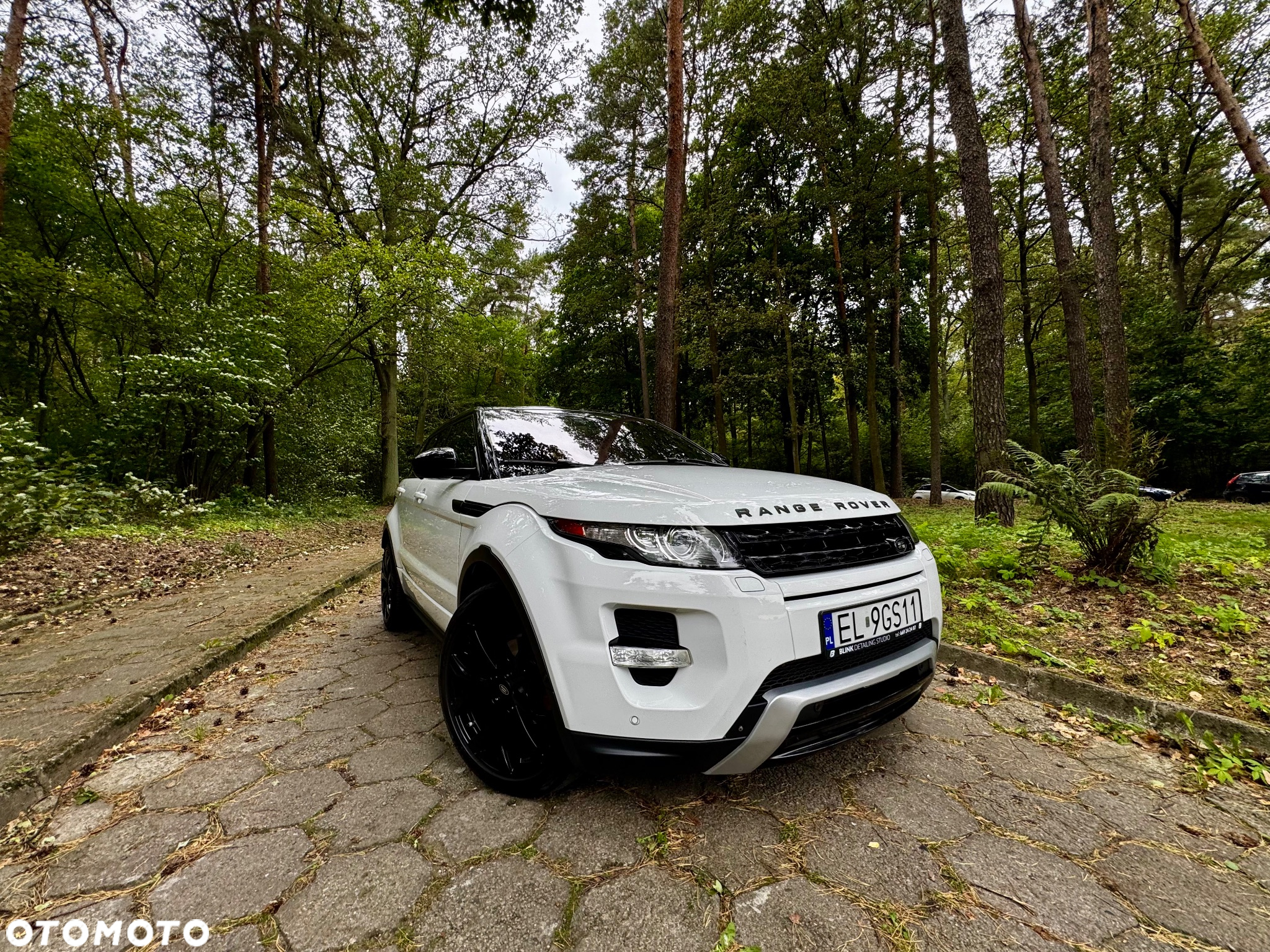 Land Rover Range Rover Evoque 2.0Si4 SE Dynamic - 9