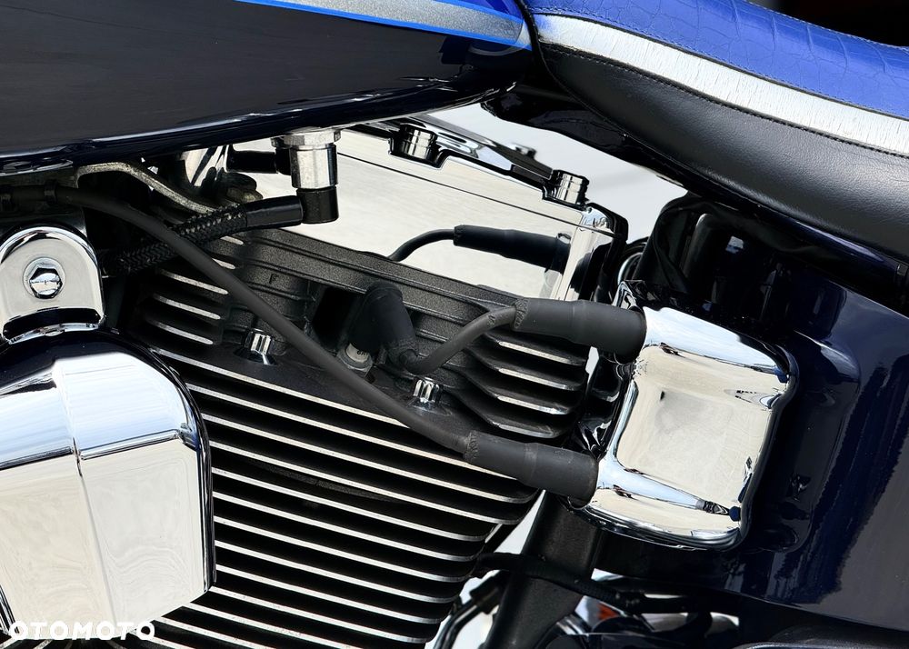 Harley-Davidson Softail - 29