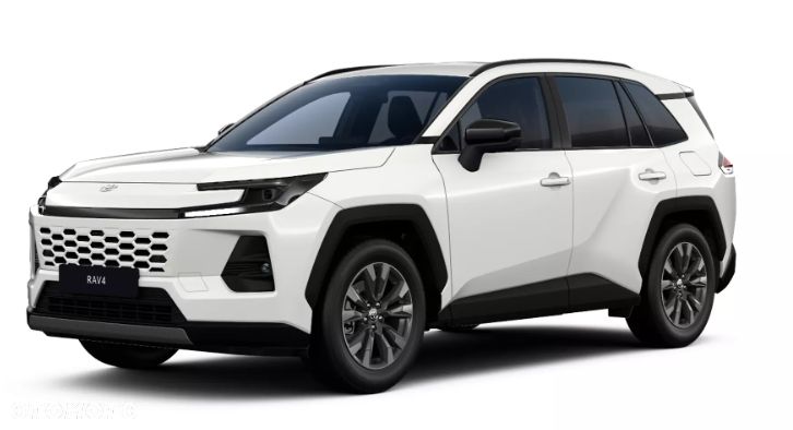 Toyota RAV4 2.5 Hybrid Comfort 4x2 - 2