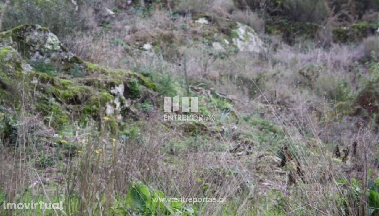 Terreno para venda, Azevedo, Caminha - Grande imagem: 5/6