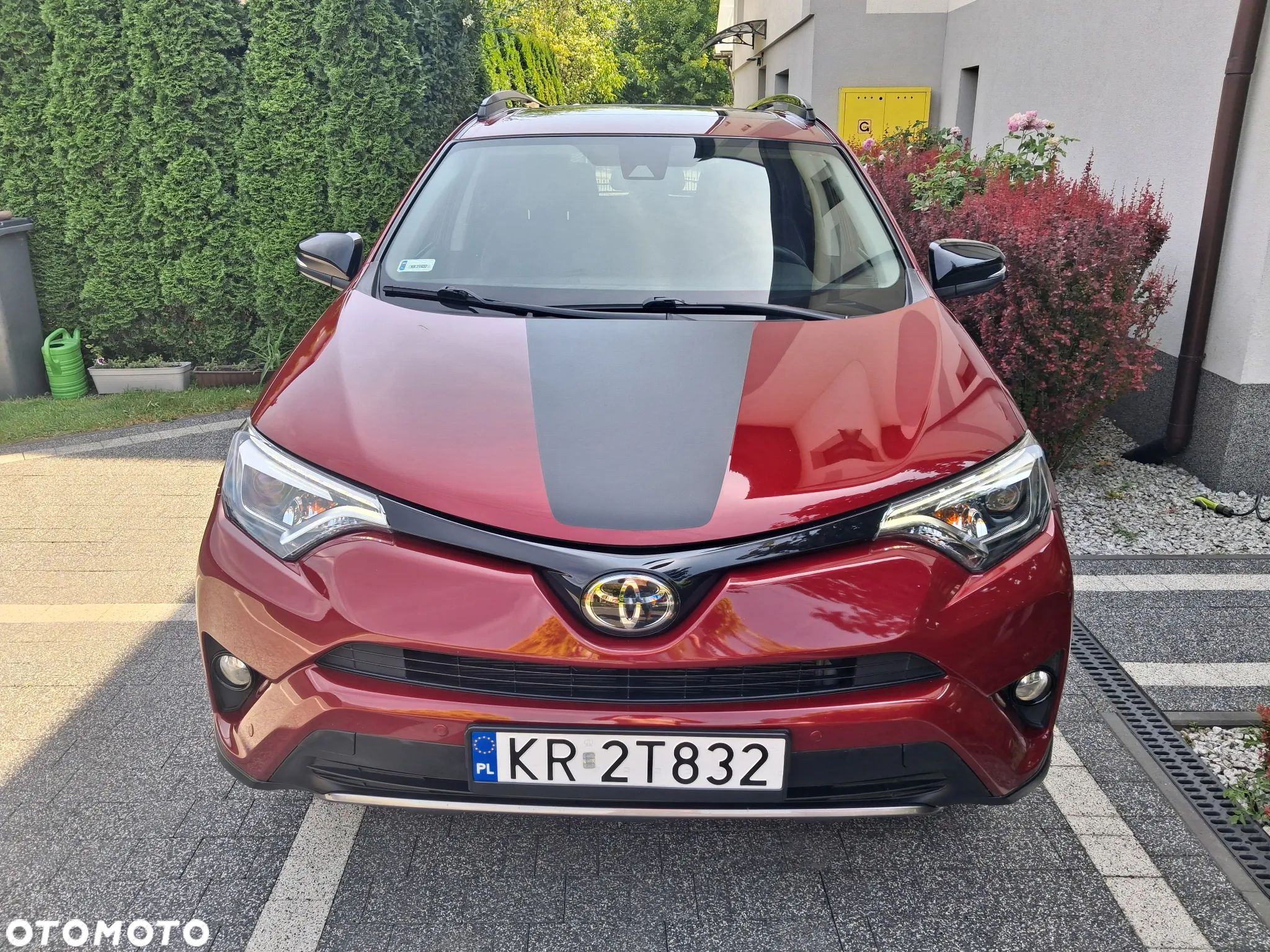 Toyota RAV4 - 1