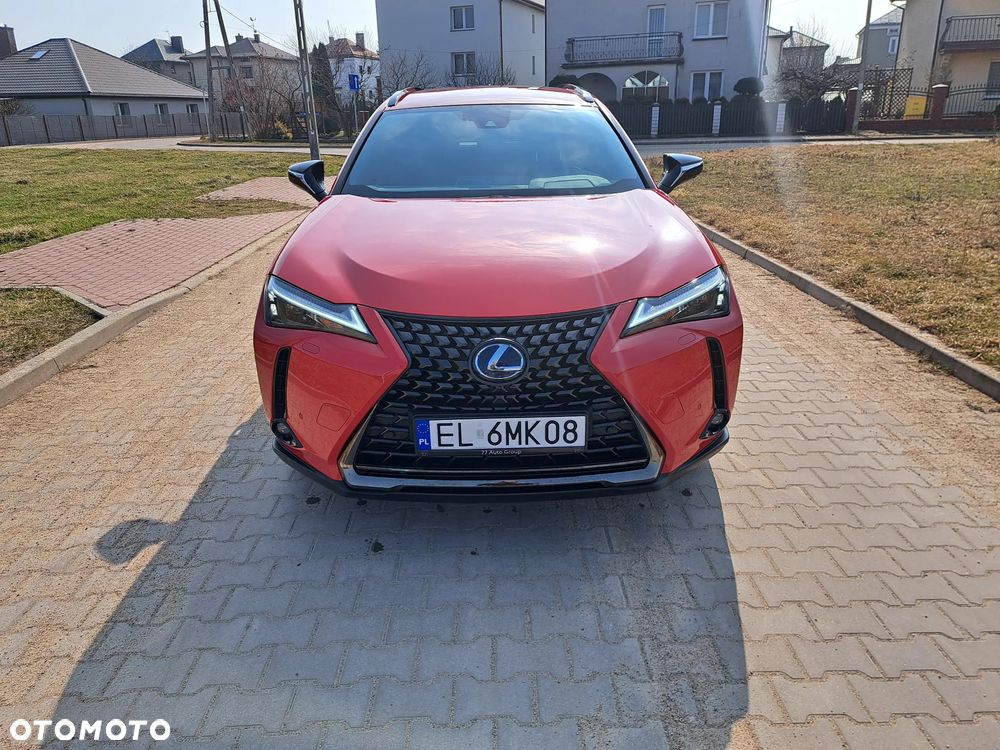 Lexus UX 250h Prestige 2WD - 2