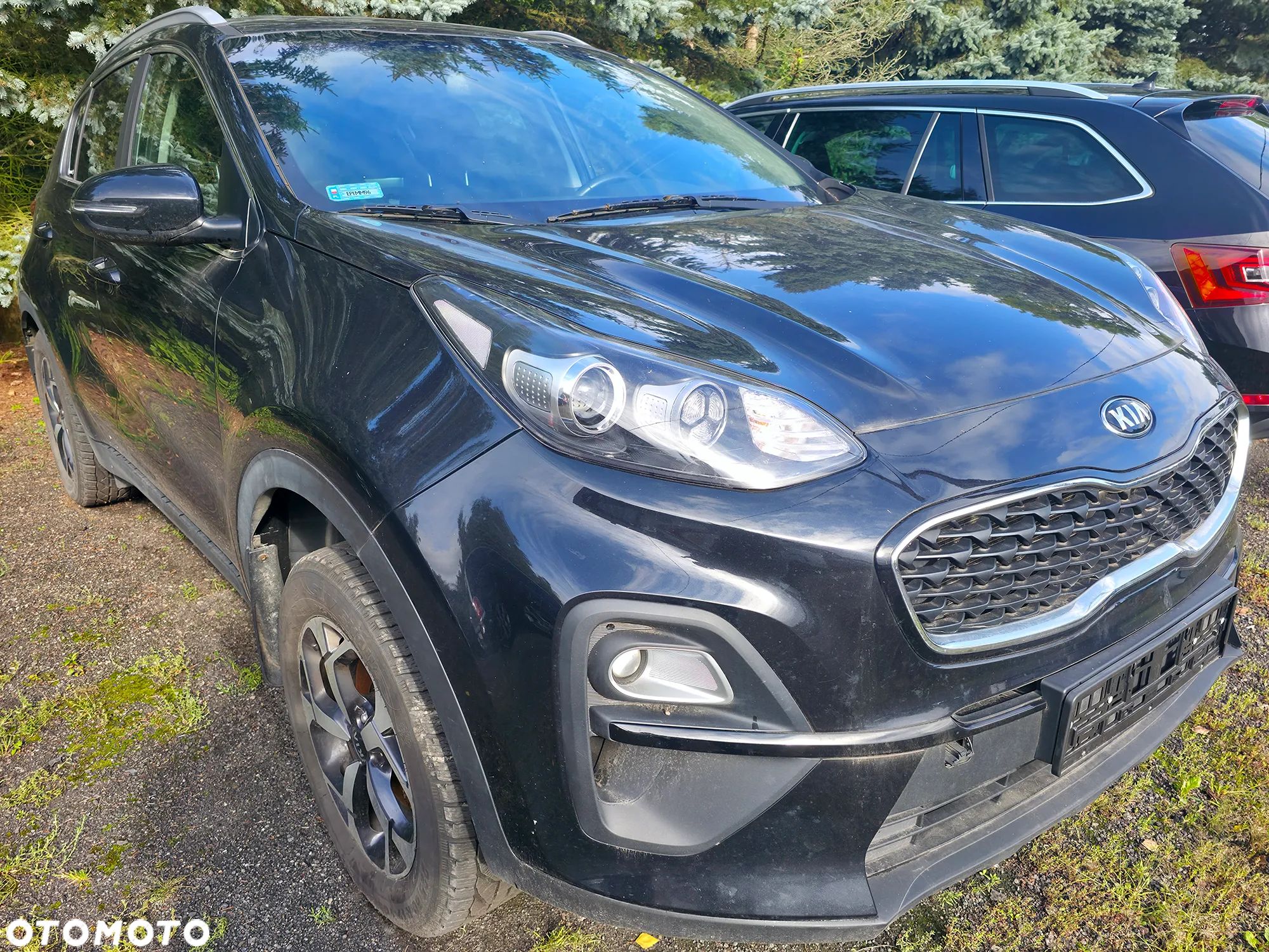 Kia Sportage 1.6 CRDI L Business Line 2WD DCT - 1