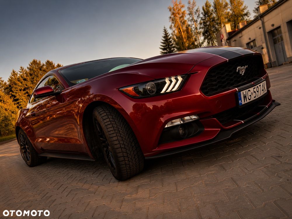 Ford Mustang - 16