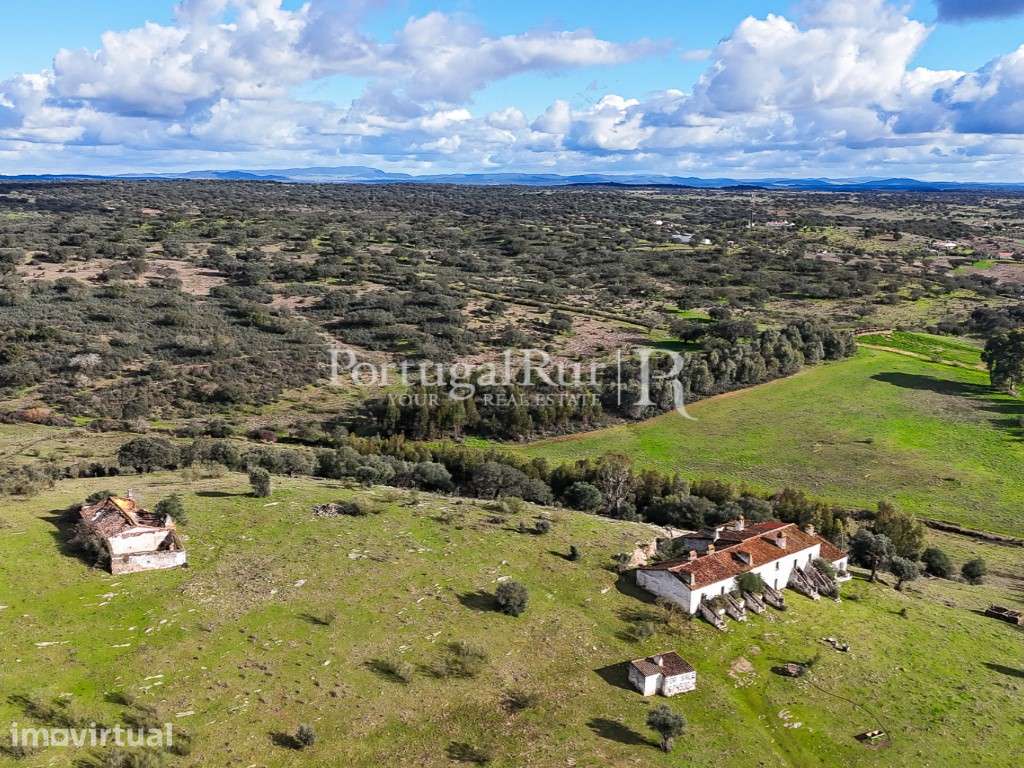 Quinta de 11 Hectares com aptidão para Hotel Rural - Grande imagem: 5/60