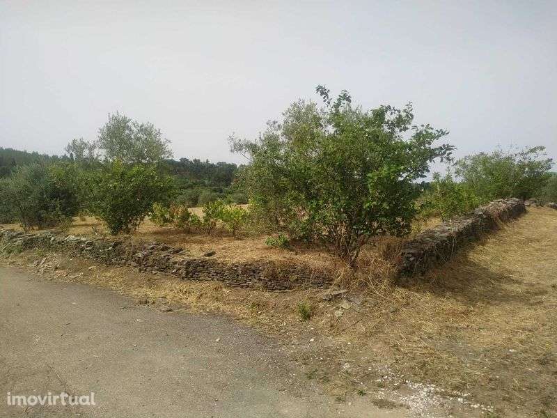 Terreno rústico Degracia - Gavião - Grande imagem: 5/11