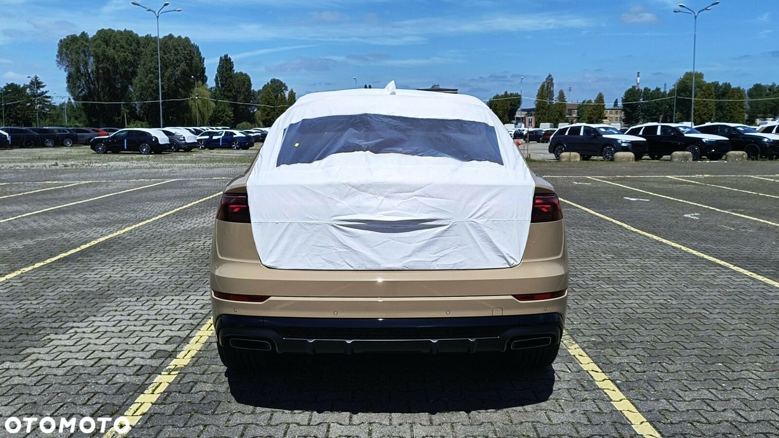 Audi Q8 - 11