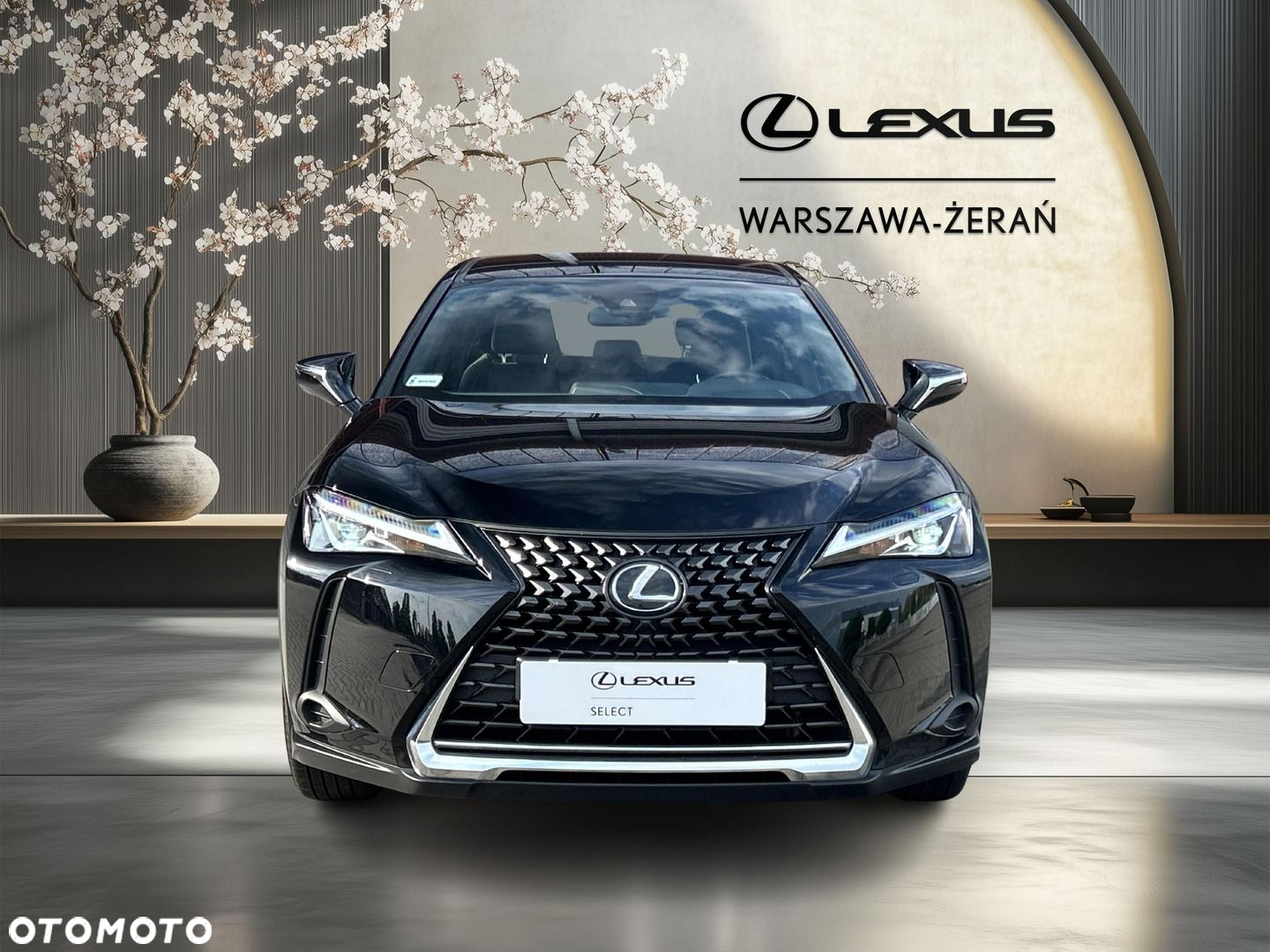 Lexus UX 200 GPF Pure 2WD - 10