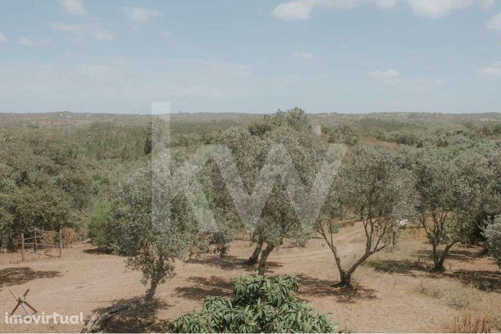 Oportunidade Única: Propriedade excepcional na Estrada da Boavista, Me - Grande imagem: 2/54