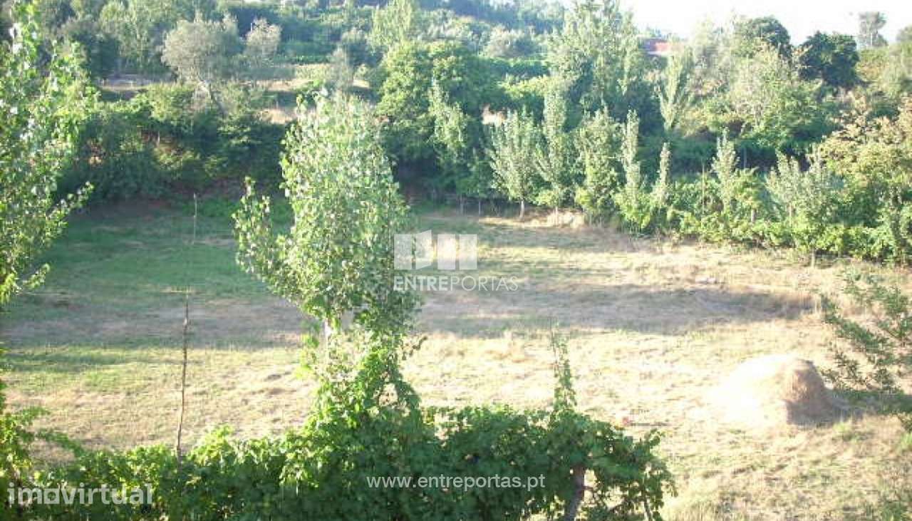 Venda Terreno, Cinfães - Grande imagem: 3/19