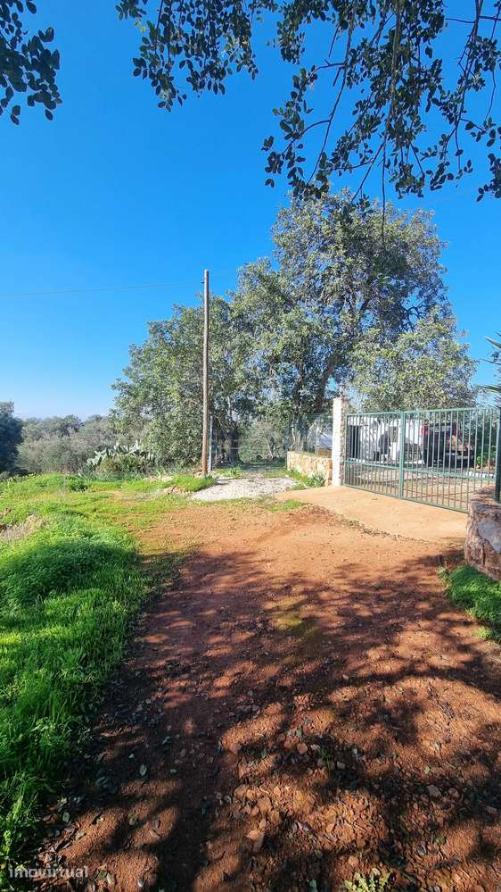 Terreno com 2720 m2 a 12min de Albufeira - DISPONIVEL - Grande imagem: 2/7