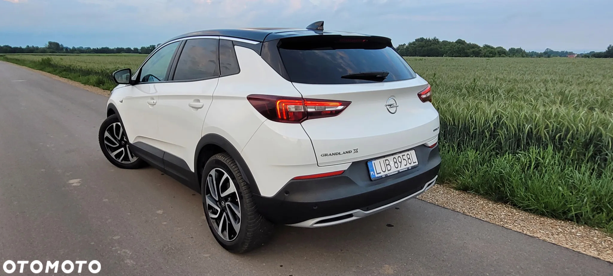 Opel Grandland X 2.0 D Start/Stop Automatik Ultimate - 6