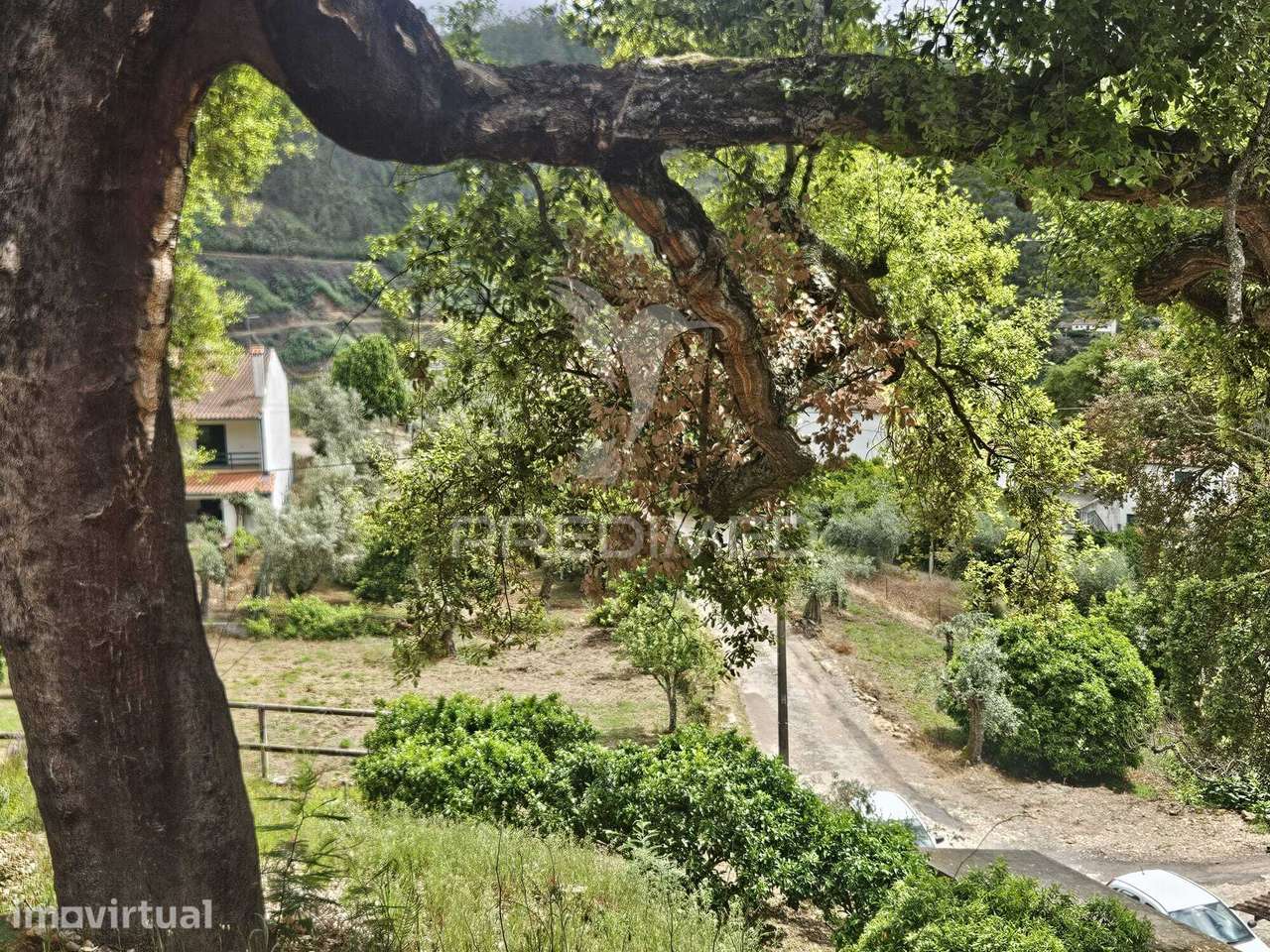 Terreno vista rio Zêzere - Grande imagem: 5/11