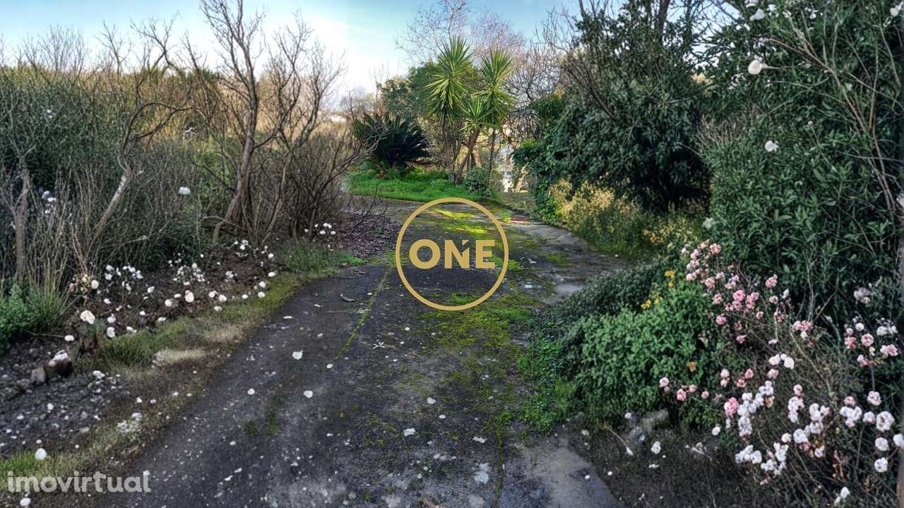 Quinta com 5120 m2 para recuperar em Valhelhas, Torres Novas - Grande imagem: 2/23