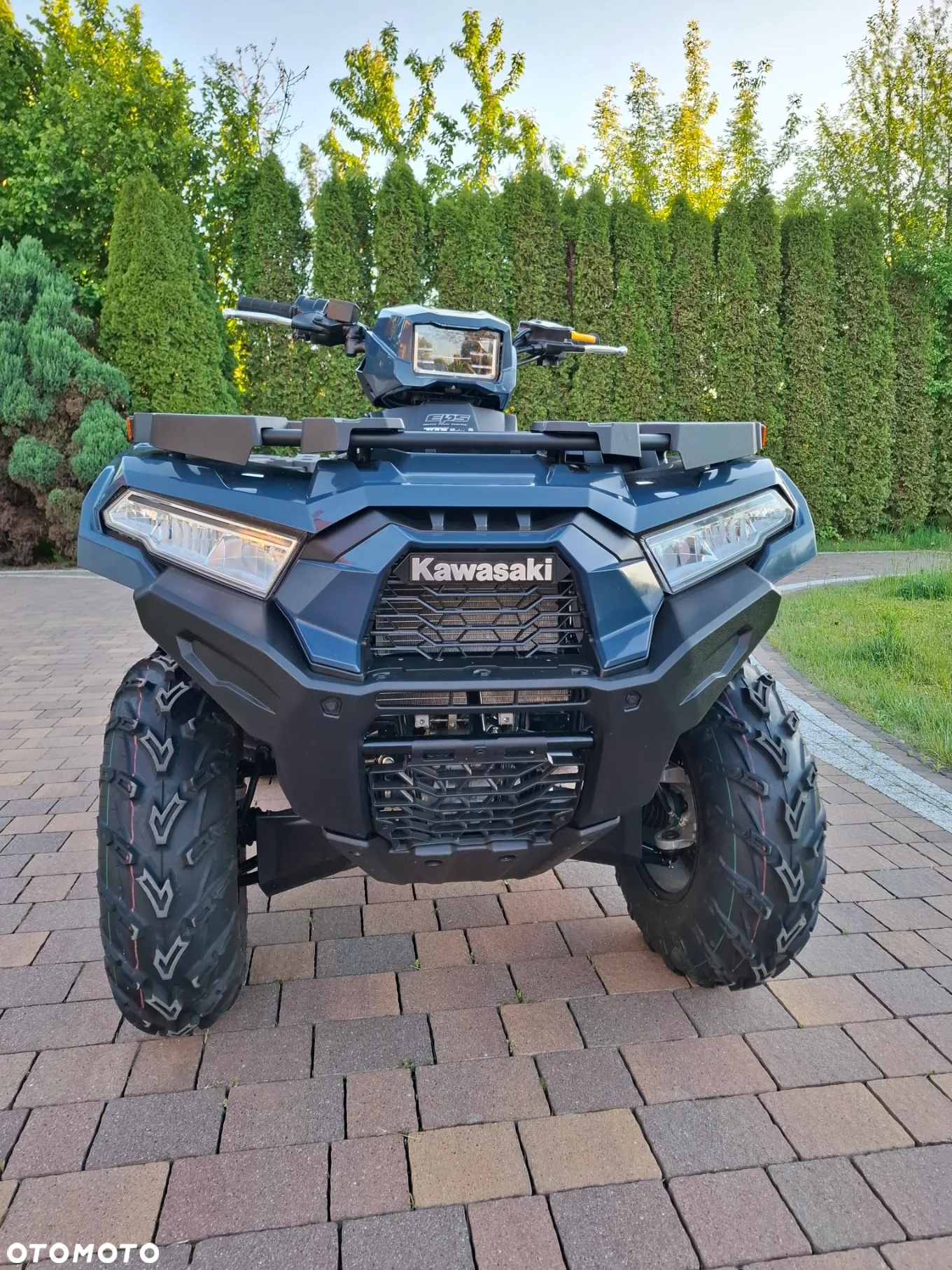 Kawasaki Brute Force