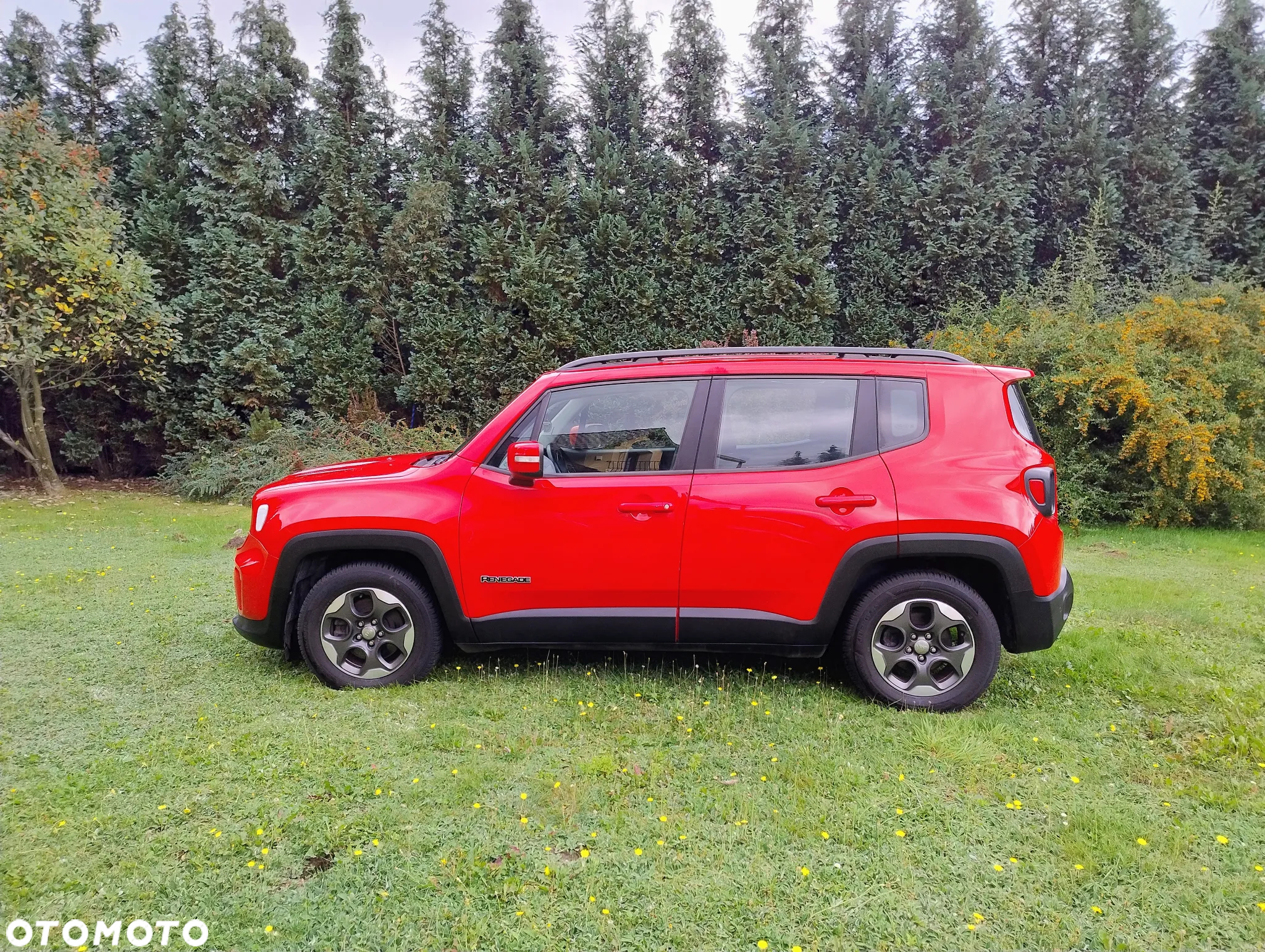 Jeep Renegade - 2