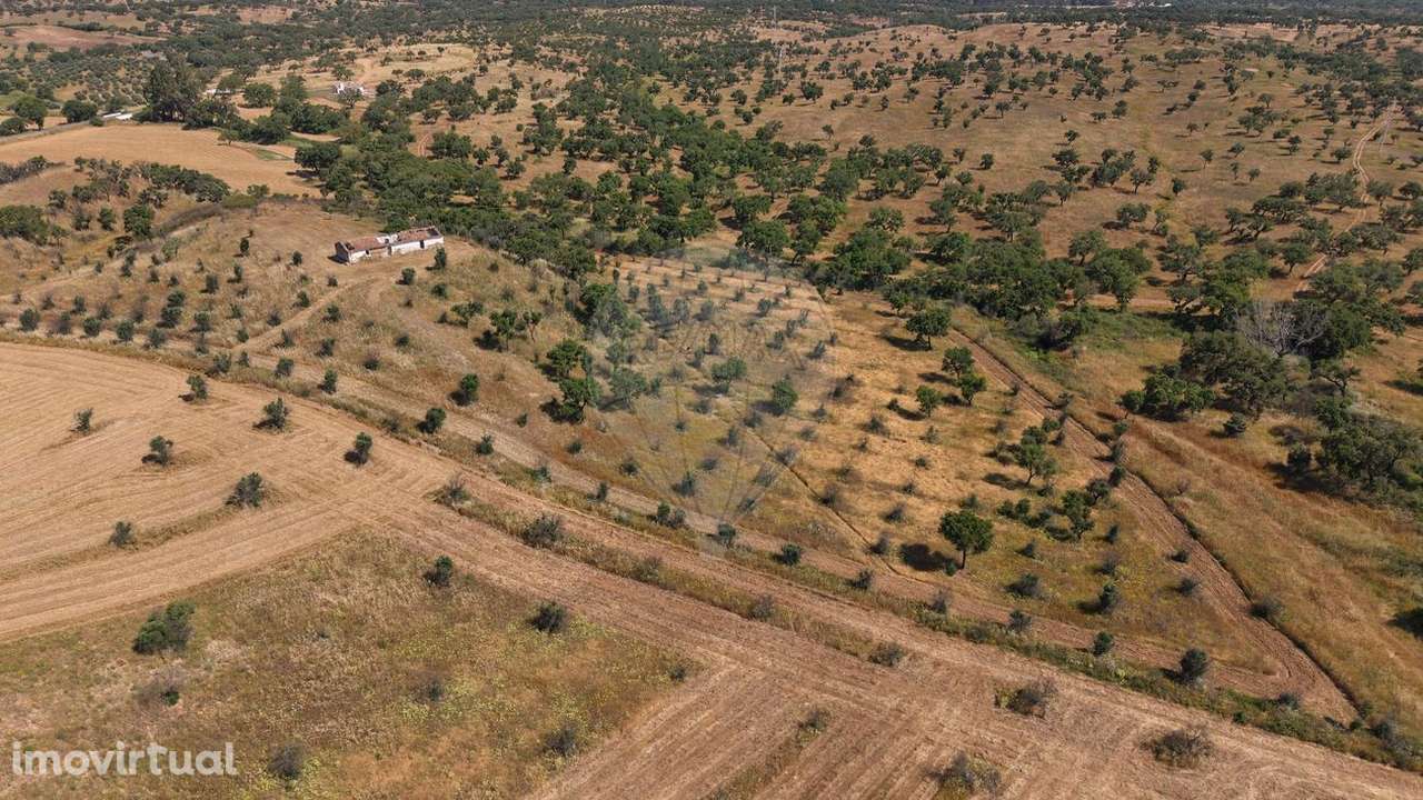 Quinta  para venda - Grande imagem: 5/20