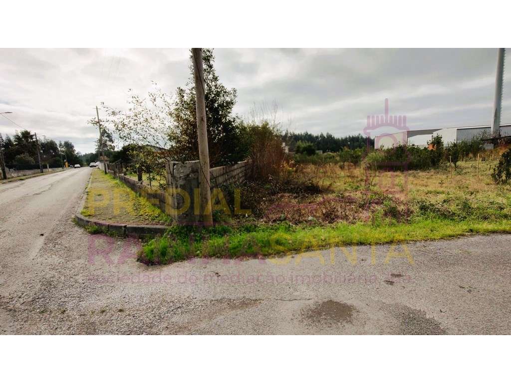 Terreno para construção com 2 artigos- Calvão-Vagos-Aveiro - Grande imagem: 5/8