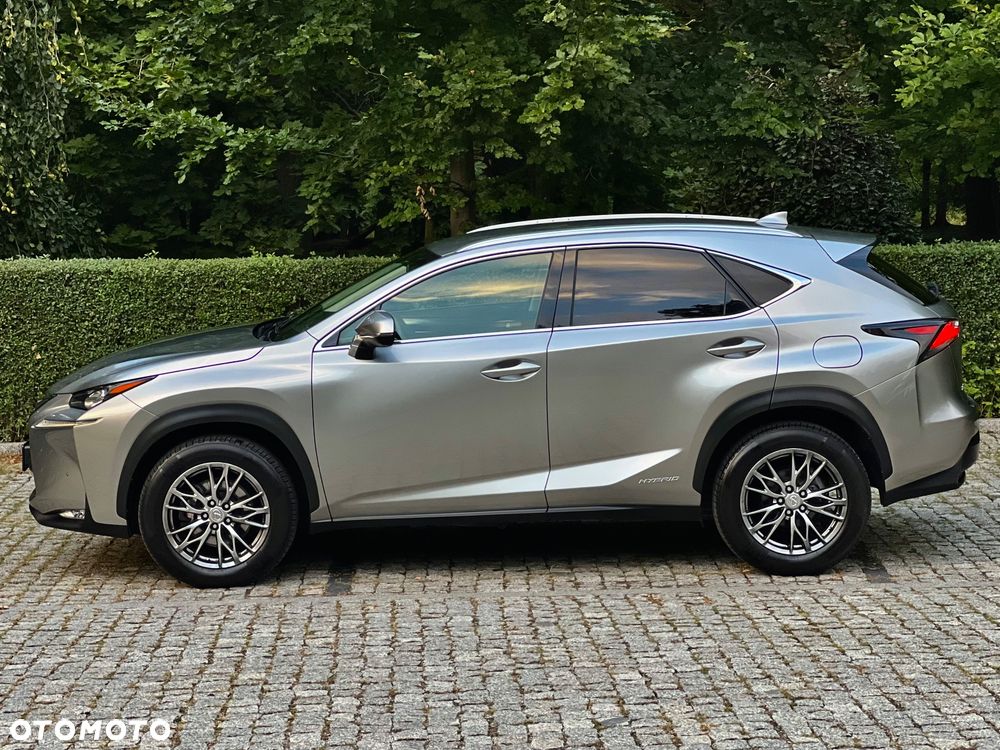 Lexus NX 300h Comfort AWD - 19