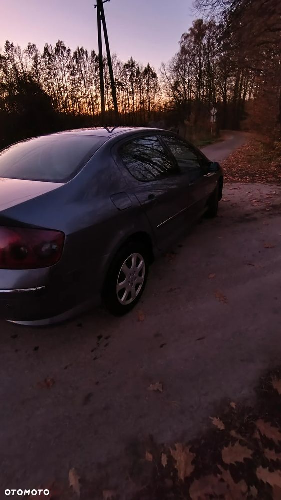 Peugeot 407 2.0 HDI ST Komfort EU4 - 6