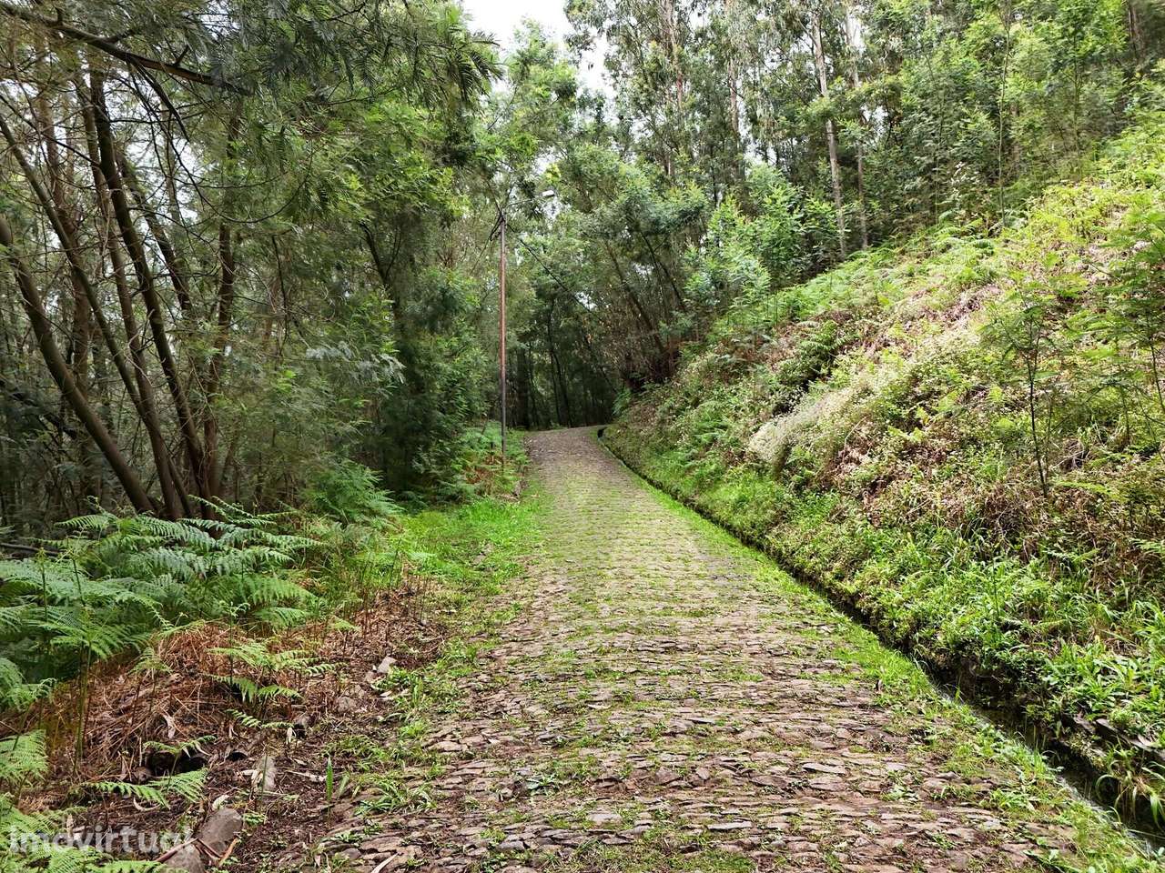 O Seu Refúgio de Sonho com Vista Deslumbrante sobre a Baía do Funchal! - Grande imagem: 4/8