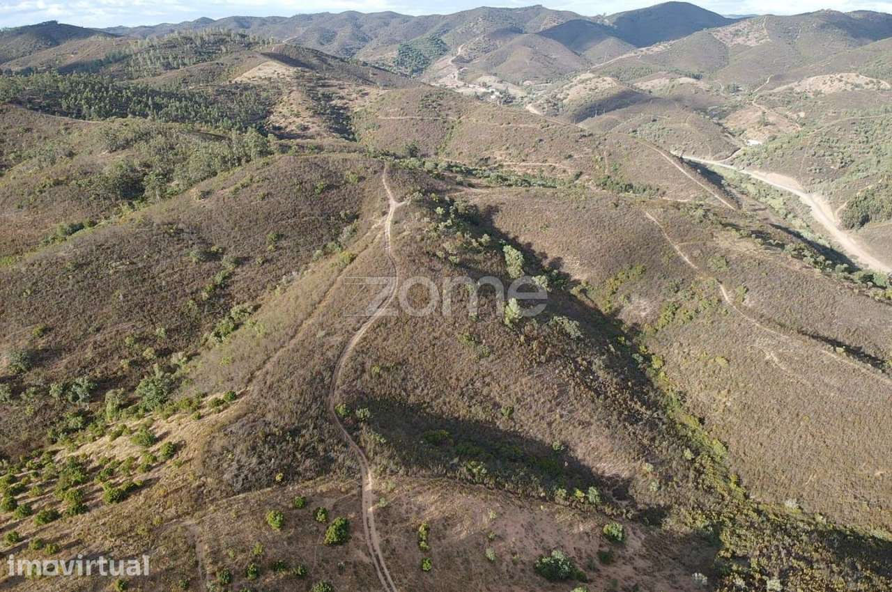 Terreno Rústico em Foz do Ribeiro com 7.920m2, S.B.Messines - Grande imagem: 3/15